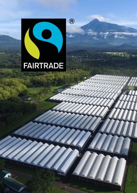 Celebrating Fairtrade Certification at 3 African Farms