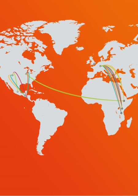 Embracing Carbon-Neutral Horticulture — Footprint Project