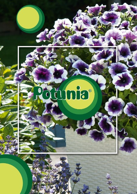 Potunia